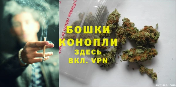 шишки Балахна