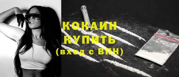 шишки Балахна