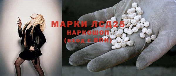 шишки Балахна