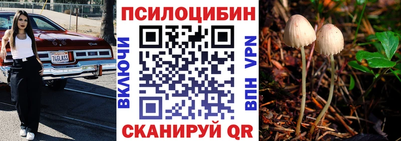 Галлюциногенные грибы Cubensis  как найти закладки  Киров 